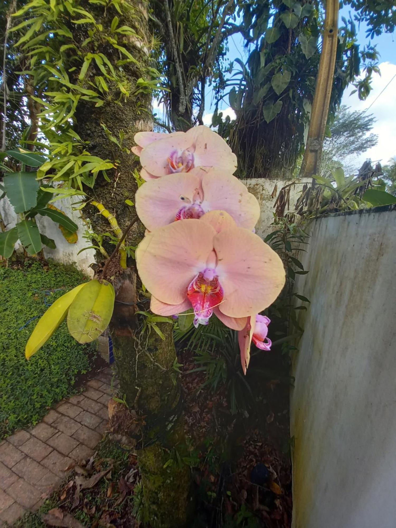 Homestay No Itamambuca - Muito Perto Da !!! Ubatuba